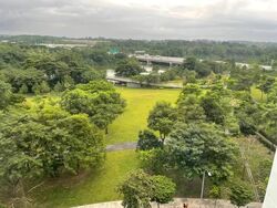 Blk 335C Anchorvale Cove (Sengkang), HDB 4 Rooms #570259381